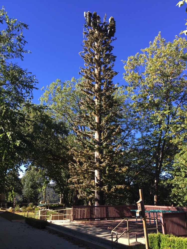 Camouflaged Antennas